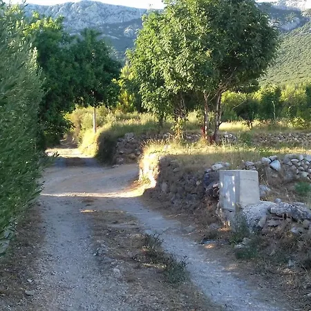 Marin Kastela