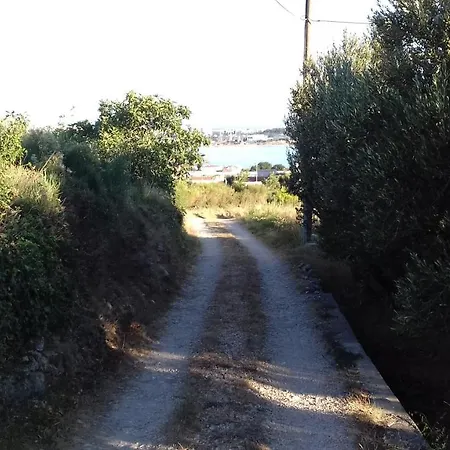 Marin Kastela
