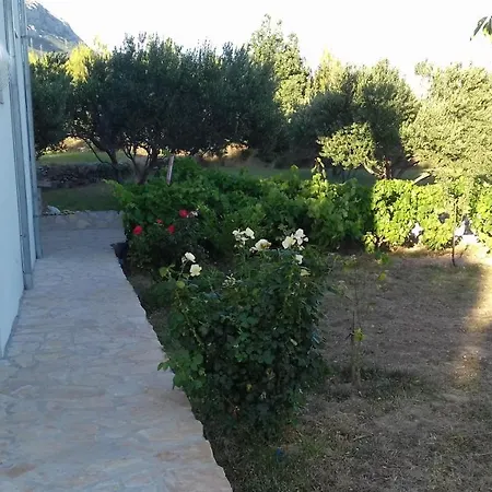 Marin Kastela